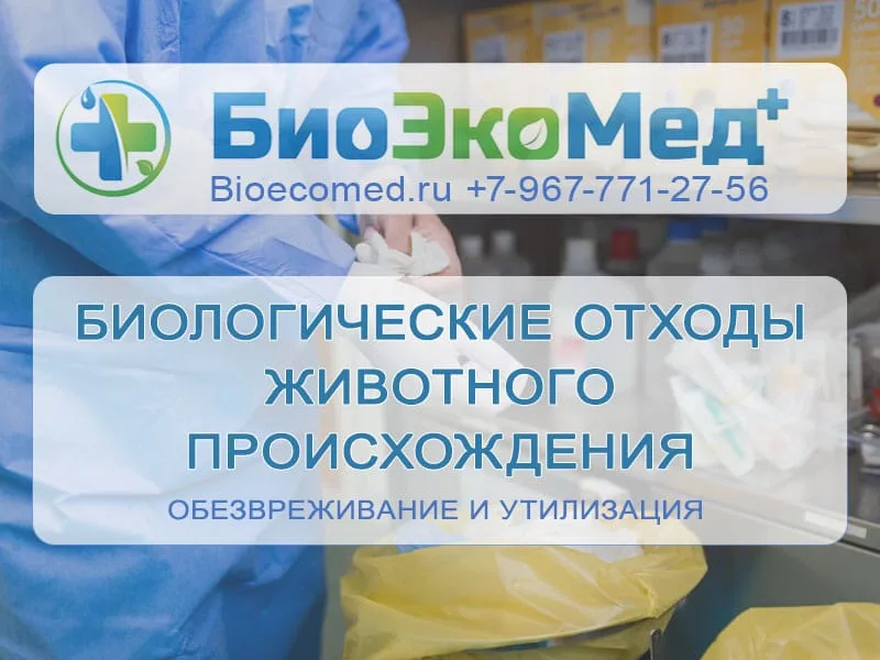 Био отходы животного происхождения